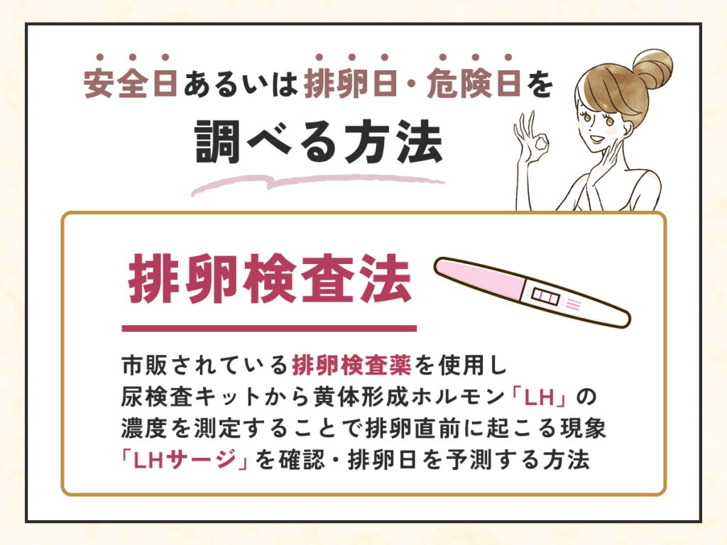 排卵検査法で安全日あるいは排卵日・危険日を特定する調べ方