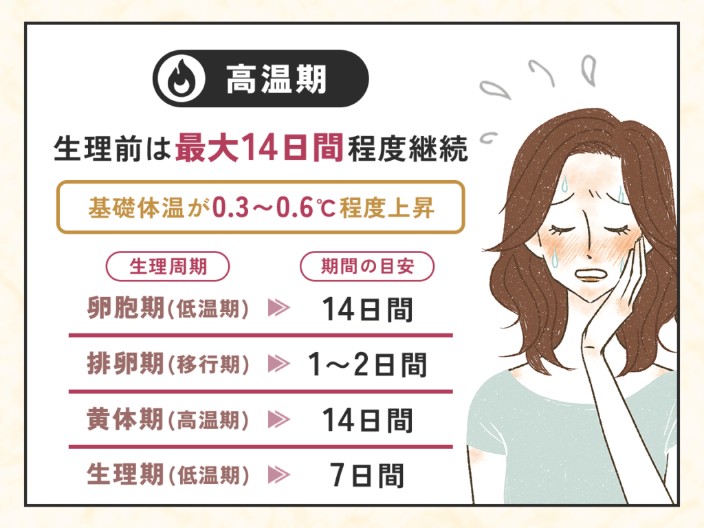 生理前の高温期は最大14日間程度続く症状