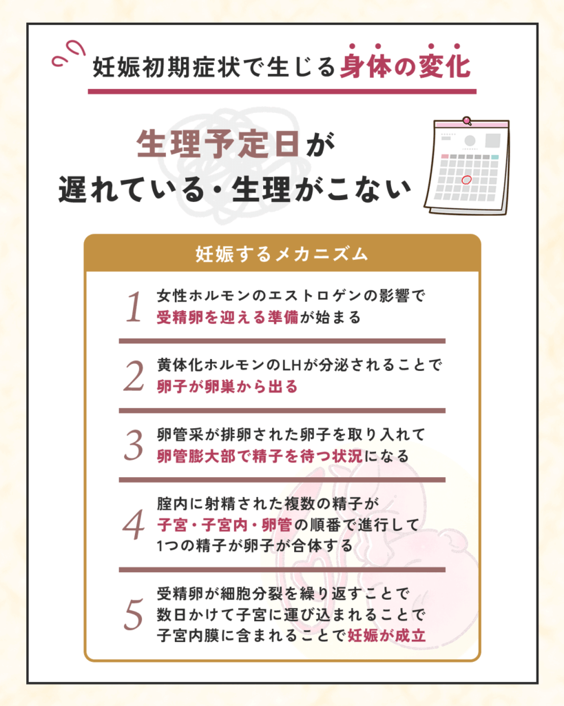 妊娠初期症状で生じる身体の変化①：生理予定日が遅れている・生理がこない