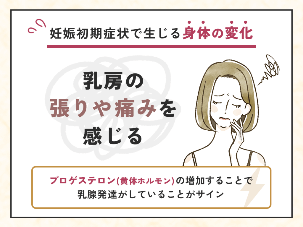 妊娠初期症状で生じる身体の変化③：乳房の張りや痛みを感じる