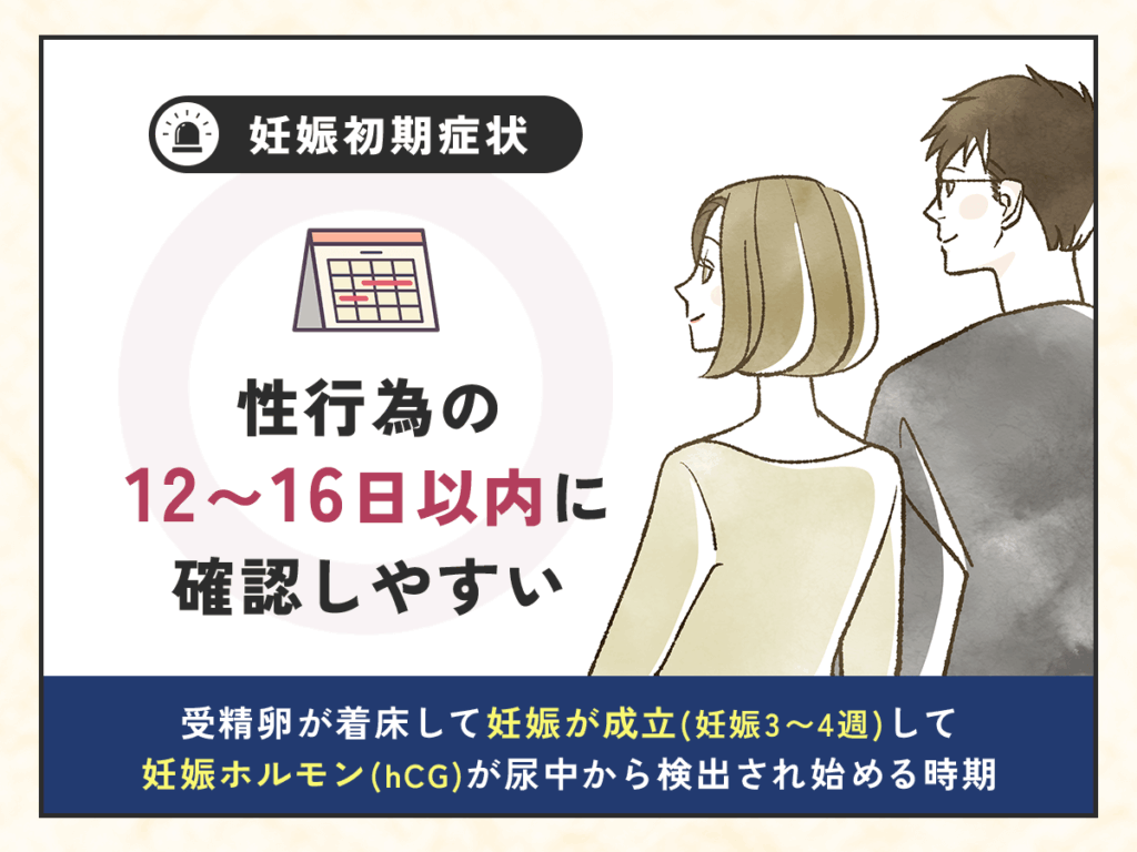妊娠初期症状は性行為の12〜16日以内に確認しやすい